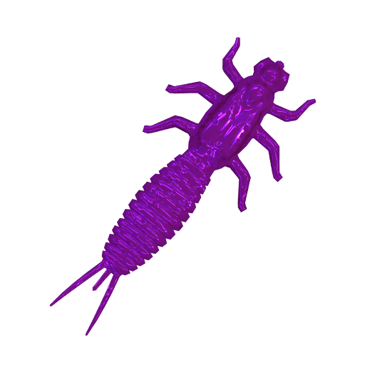 Larva