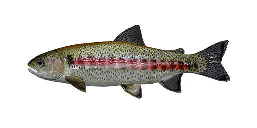 fishing planet oregon redband trout