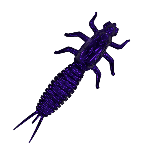 Burying Beetle Larva