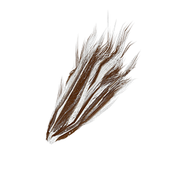 Spinner Tail